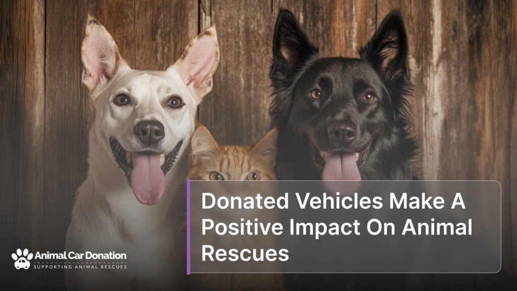 Donated Vehicles Make A Positive Impact On Animal Rescues