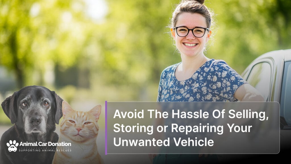 Avoid The Hassle Of Selling, Storing or Repairing Your Unwanted Vehicle