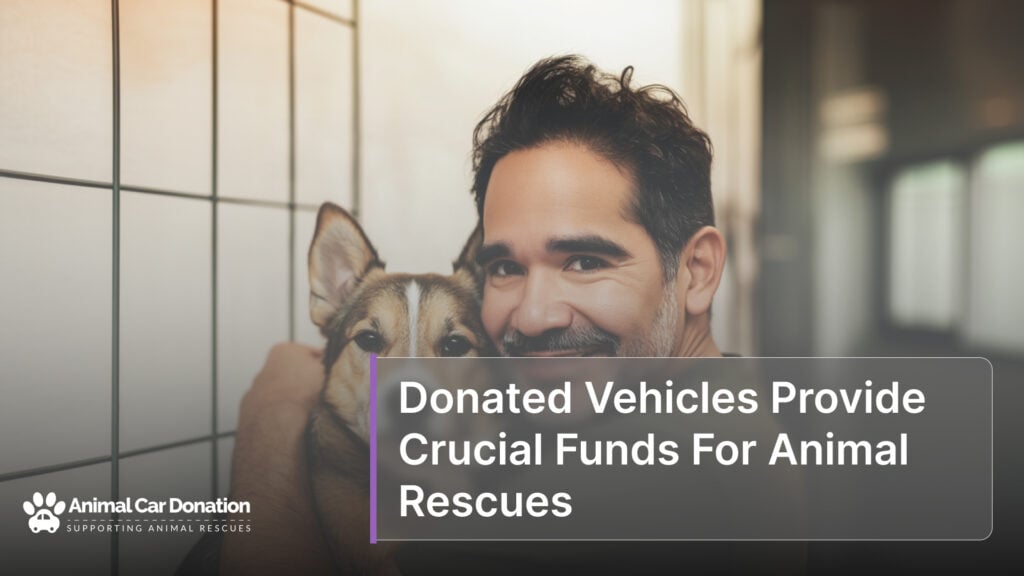 Donated Vehicles Provide Crucial Funds For Animal Rescues