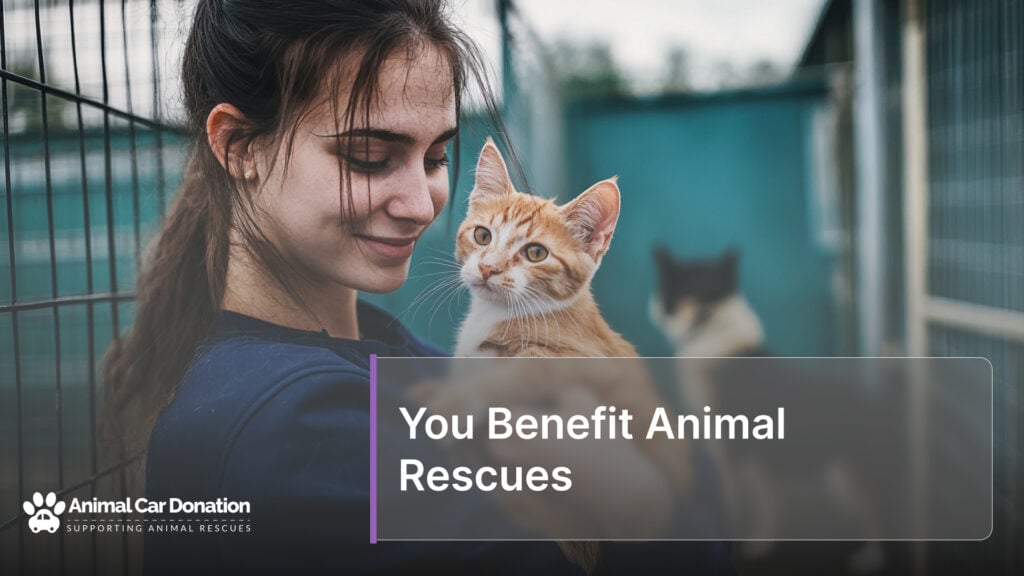 You Benefit Animal Rescues