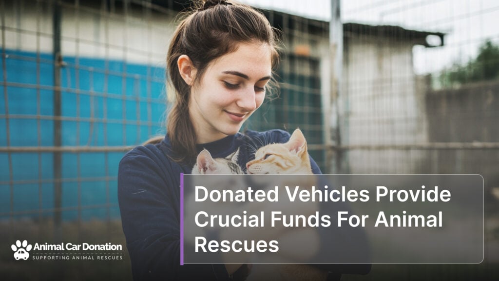 Donated Vehicles Provide Crucial Funds For Animal Rescues