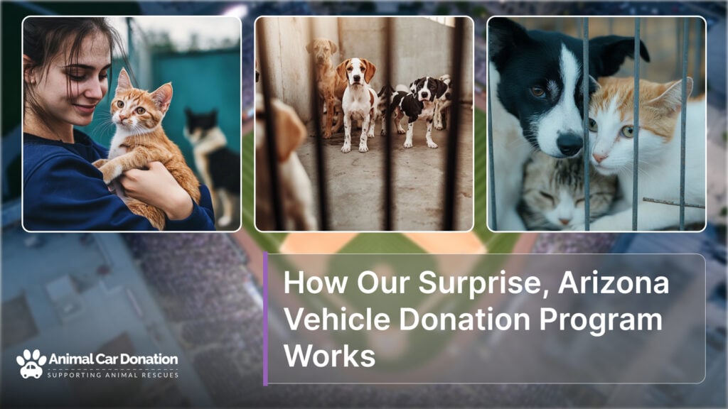 How Our Surprise, Arizona Vehicle Donation Program Works