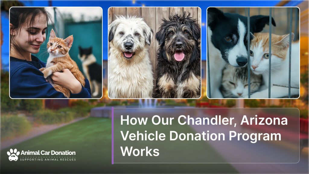 How Our Chandler, Arizona Vehicle Donation Program Works