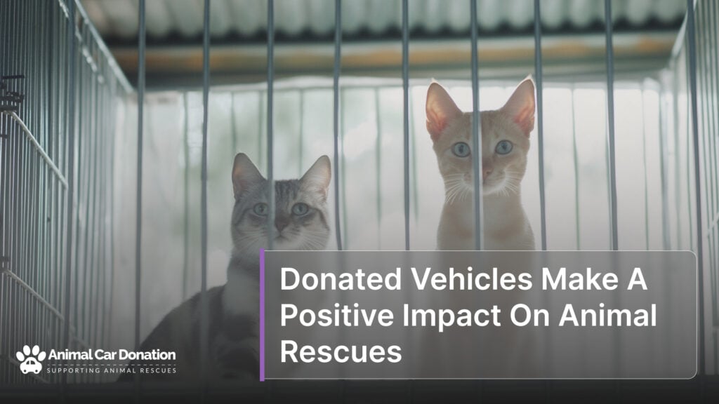 Donated Vehicles Make A Positive Impact On Animal Rescues