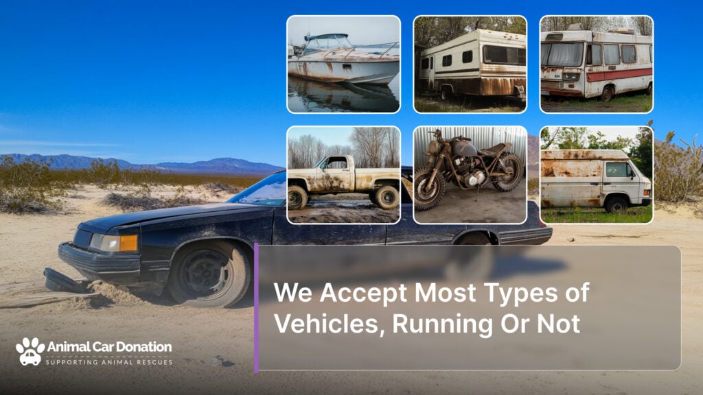 We Accept Most Types of Vehicles, Running Or Not