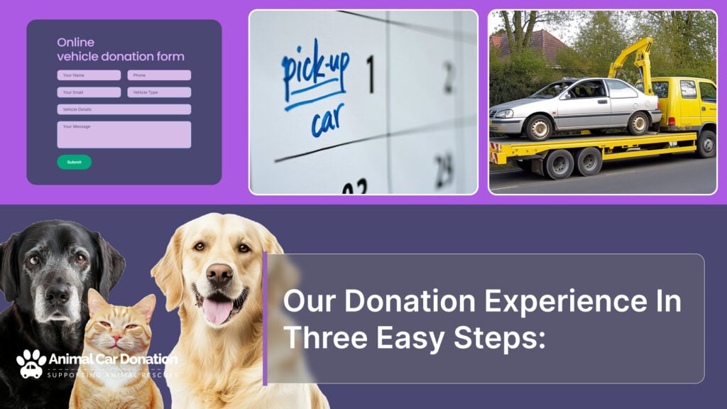 Our Donation Experience In Three Easy Steps