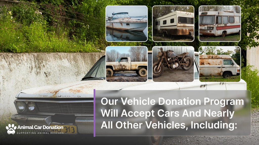 Our Vehicle Donation Program Will Accept Cars And Nearly All Other Vehicles, Including