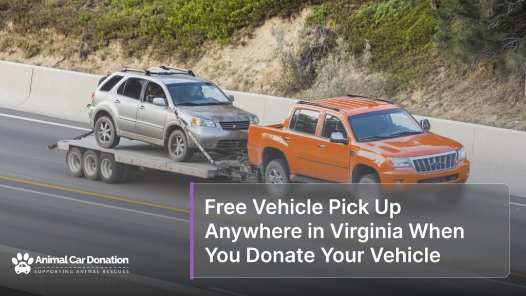 Free Vehicle Pick Up Anywhere in Virginia When You Donate Your Vehicle