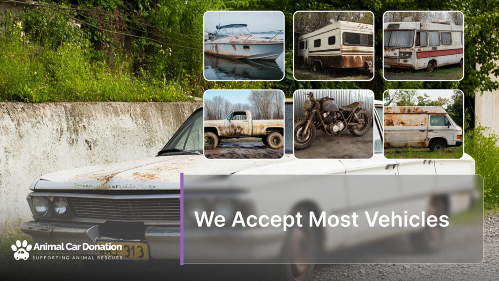 We Accept Most Vehicles