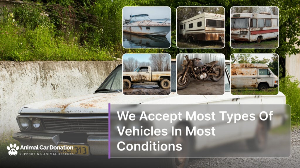 We Accept Most Types Of Vehicles In Most Conditions