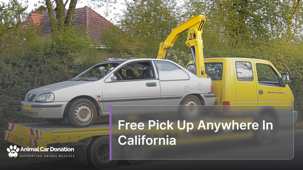 Free Pick Up Anywhere In California