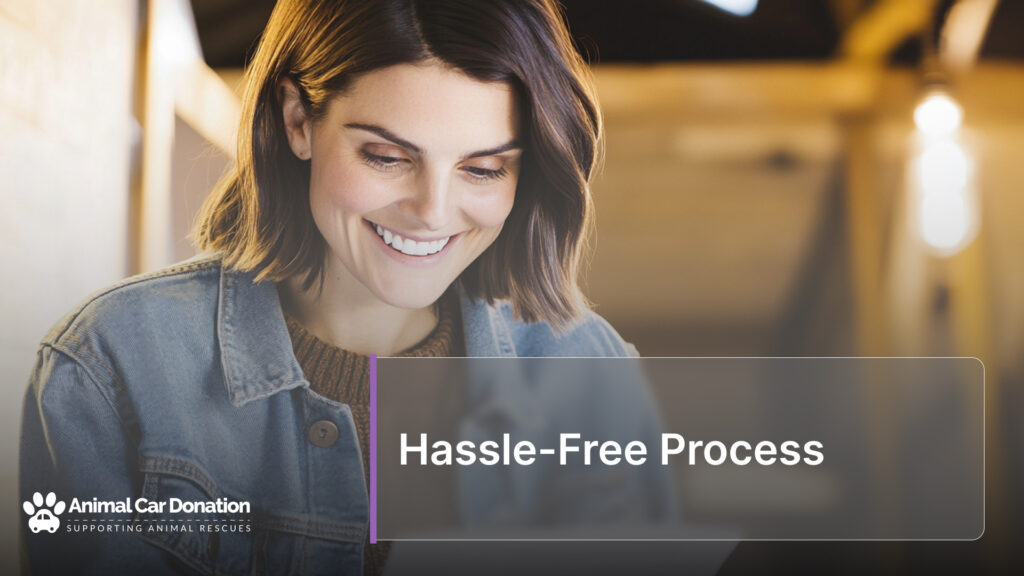 Hassle-Free Process