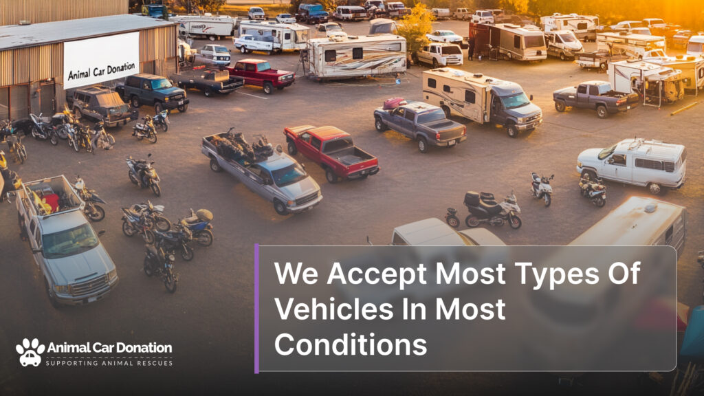 We Accept Most Types Of Vehicles In Most Conditions