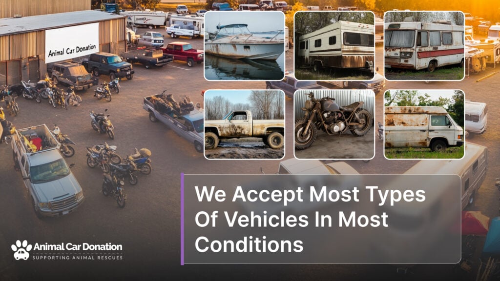 We Accept Most Types Of Vehicles In Most Conditions