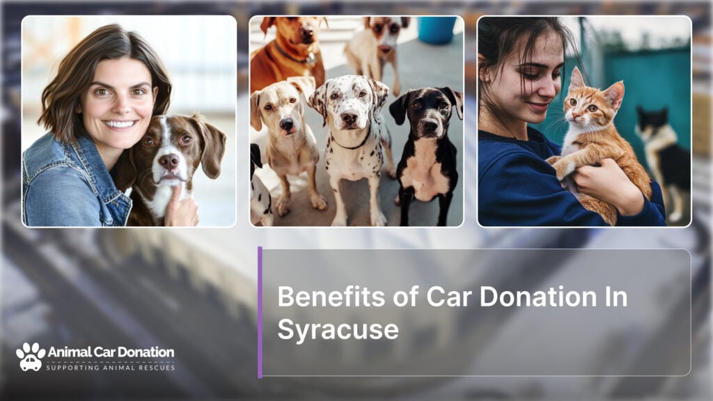 Benefits of Car Donation In Syracuse