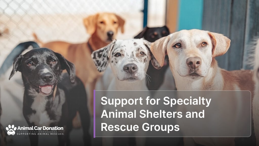 Support for Specialty Animal Shelters and Rescue Groups