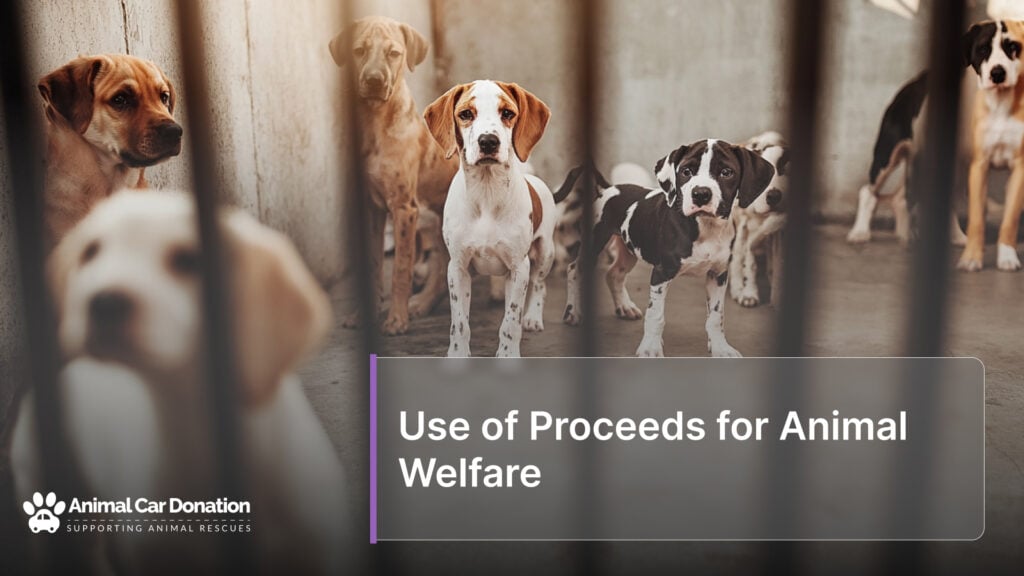 Use of Proceeds for Animal Welfare