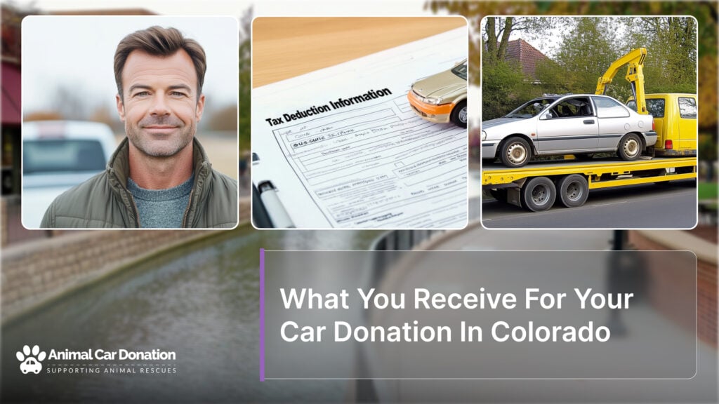 What You Receive For Your Car Donation In Colorado