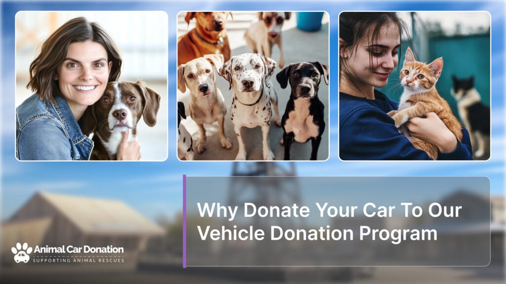 Why Donate Your Car To Our Vehicle Donation Program