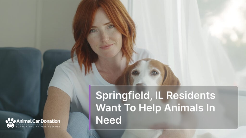 Springfield, IL Residents Want To Help Animals In Need