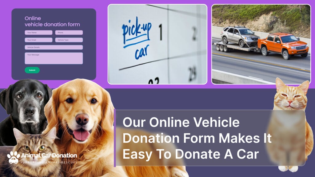 Our Online Vehicle Donation Form Makes It Easy To Donate A Car