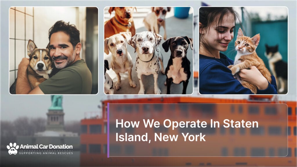 How We Operate In Staten Island, New York