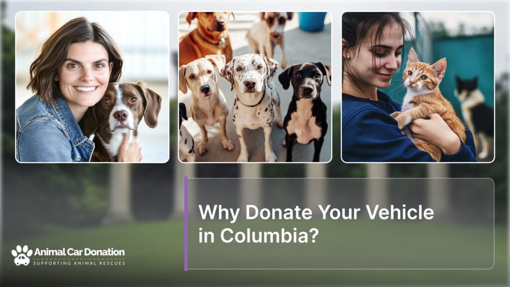 Why Donate Your Vehicle in Columbia?