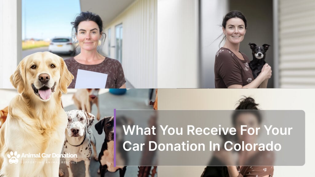 What You Receive For Your Car Donation In Colorado