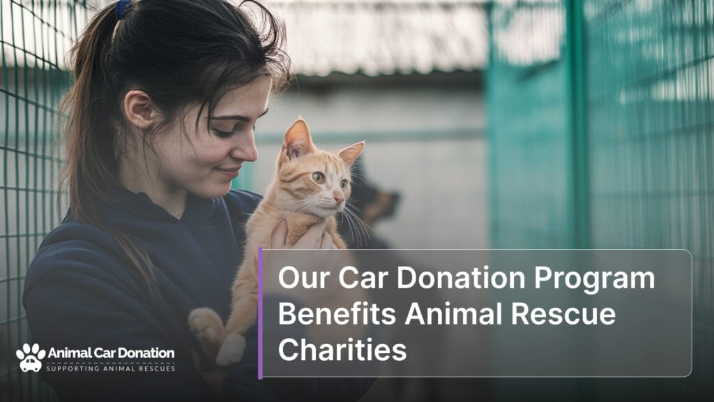 Our Car Donation Program Benefits Animal Rescue Charities