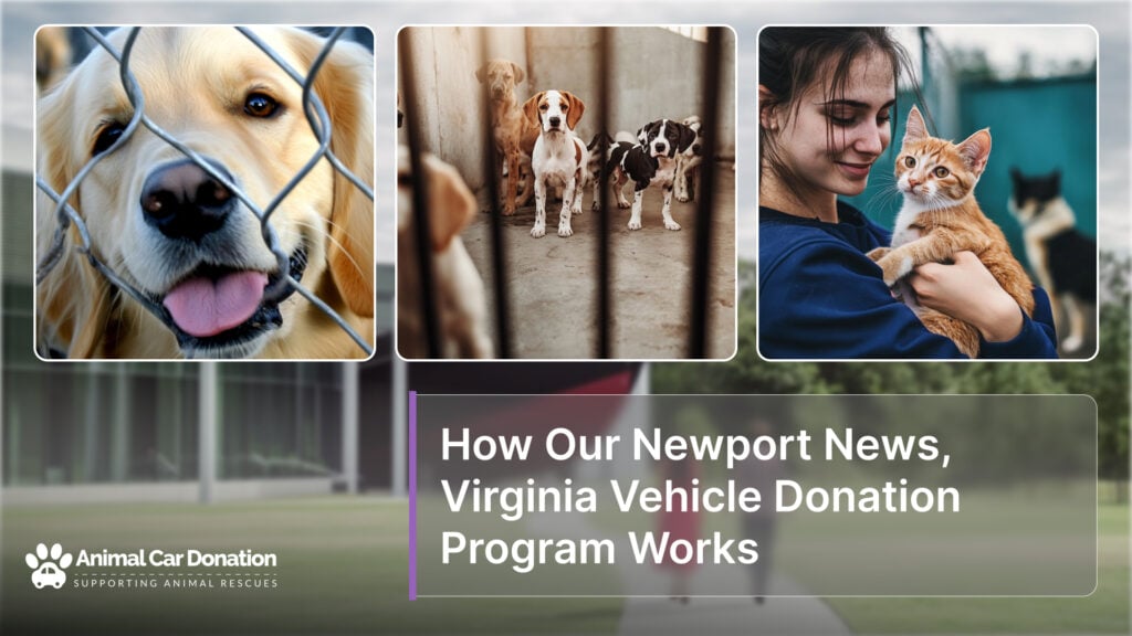 How Our Newport News, Virginia Vehicle Donation Program Works