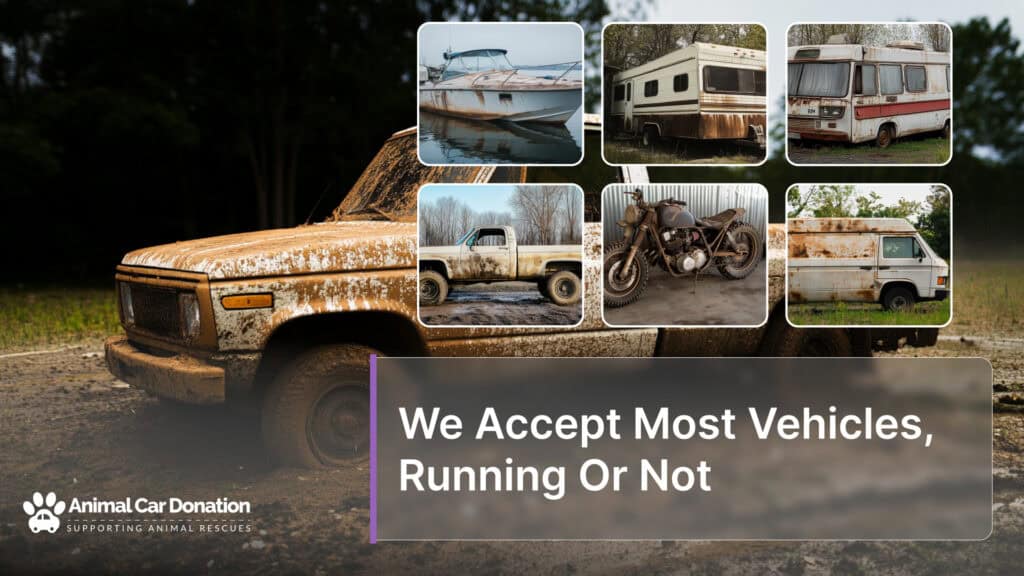 We Accept Most Vehicles, Running Or Not