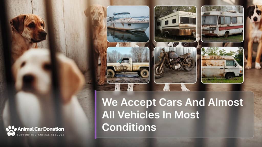 We Accept Cars And Almost All Vehicles In Most Conditions