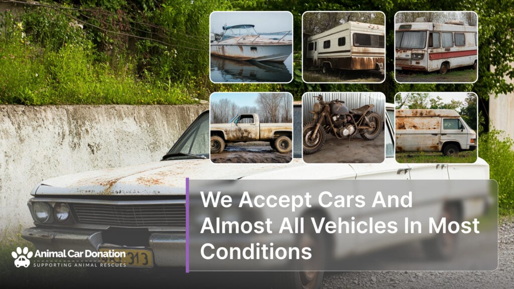 We Accept Cars And Almost All Vehicles In Most Conditions