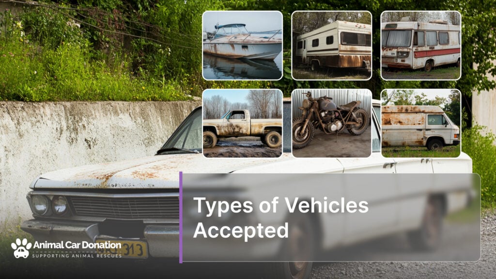 Types of Vehicles Accepted