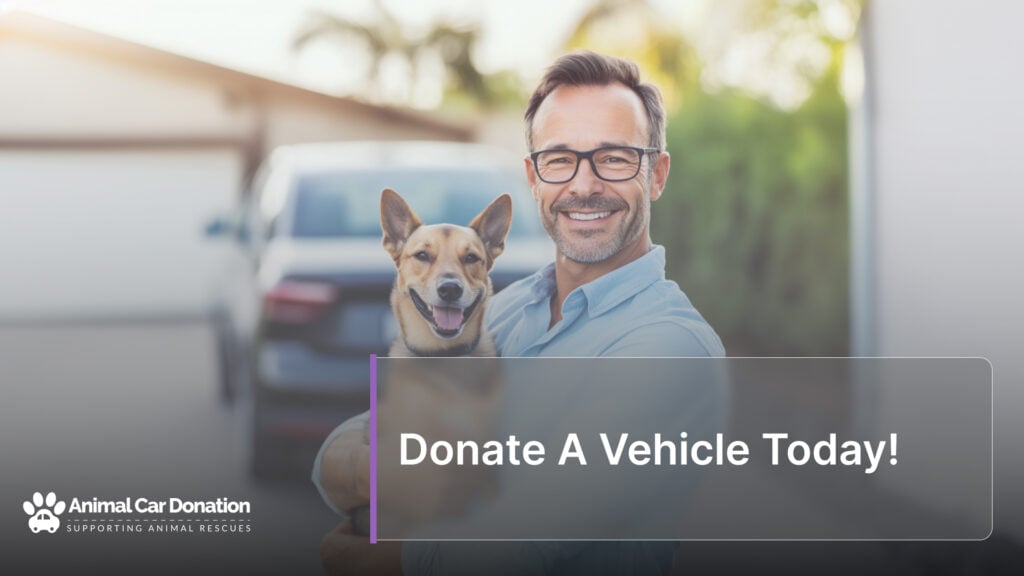 Donate A Vehicle Today