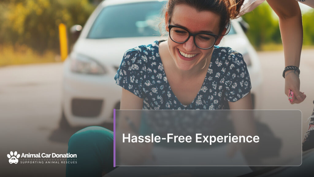 Hassle-Free Experience