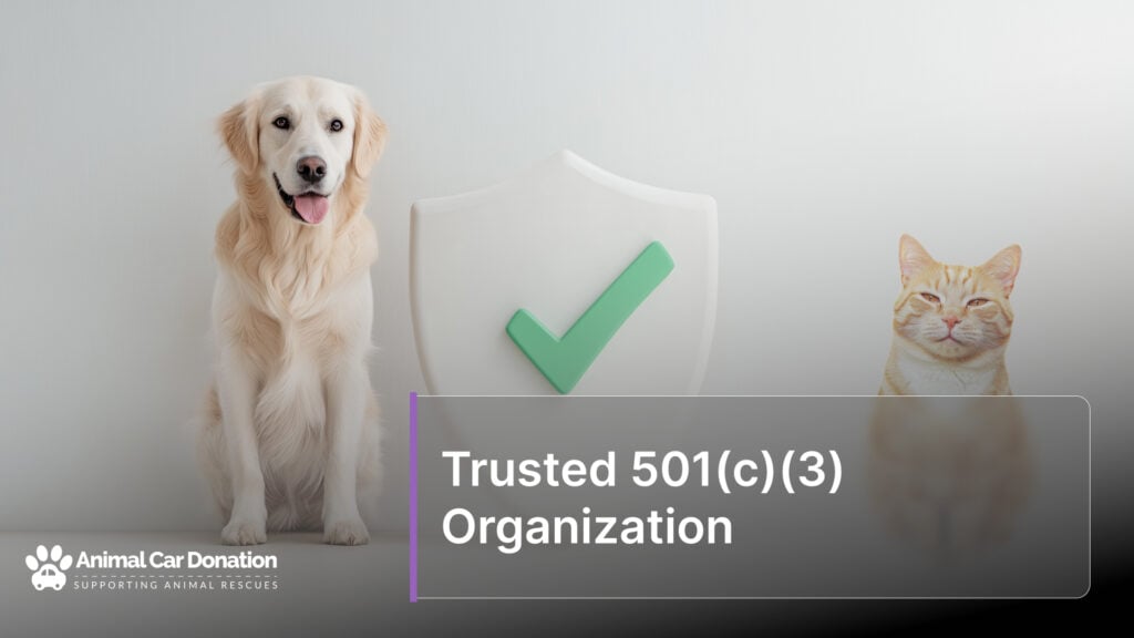 Trusted 501(c)(3) Organization