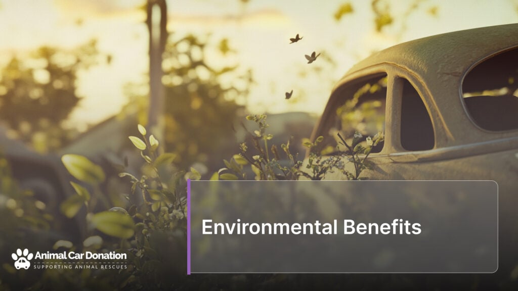 Environmental Benefits