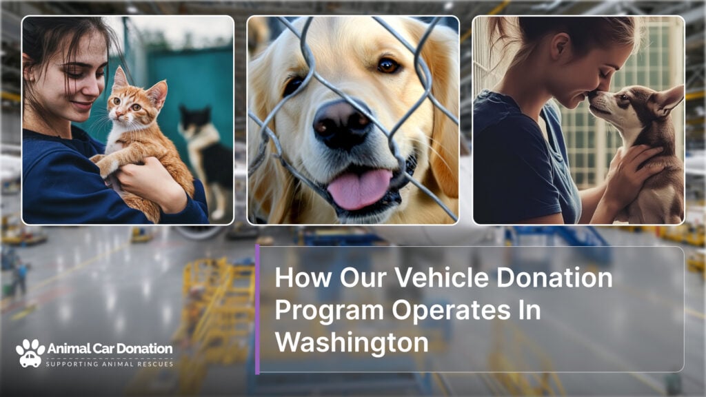 How Our Vehicle Donation Program Operates In Washington