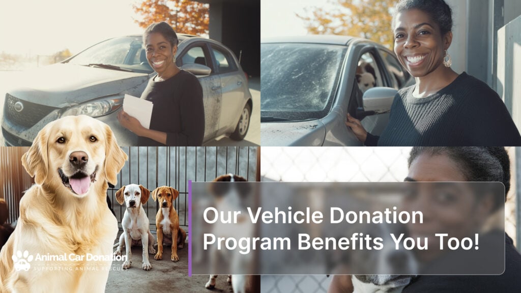 Our Vehicle Donation Program Benefits You Too!