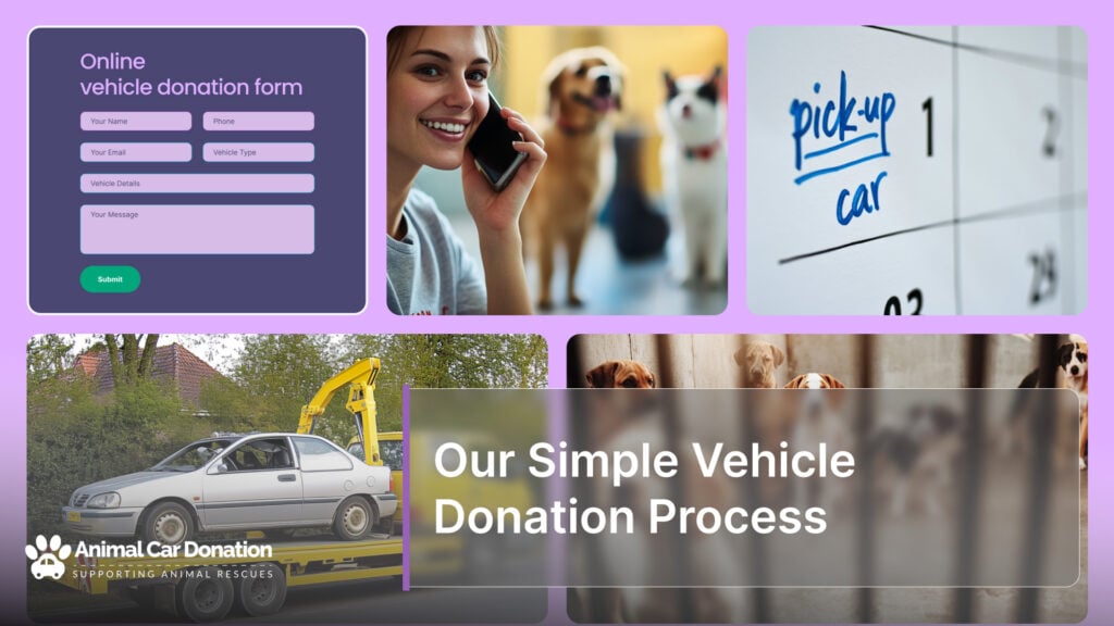 Our Simple Vehicle Donation Process