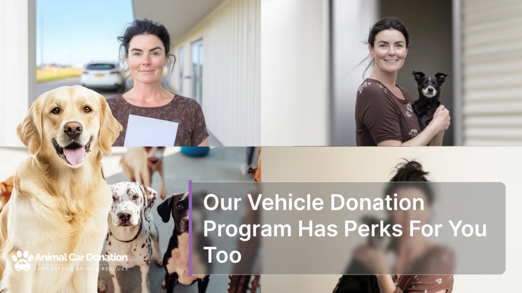 Our Vehicle Donation Program Has Perks For You Too