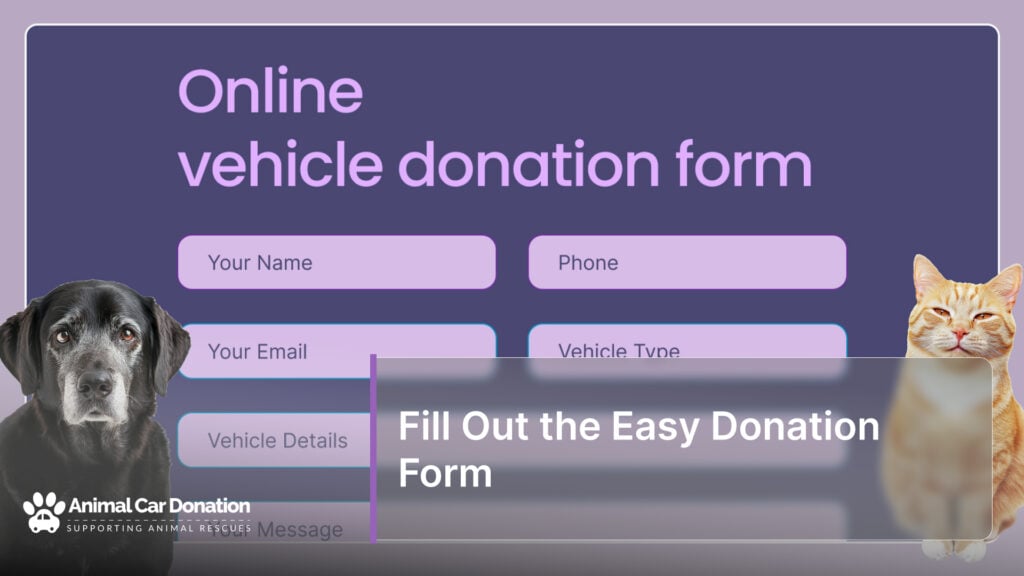 Fill Out the Easy Donation Form