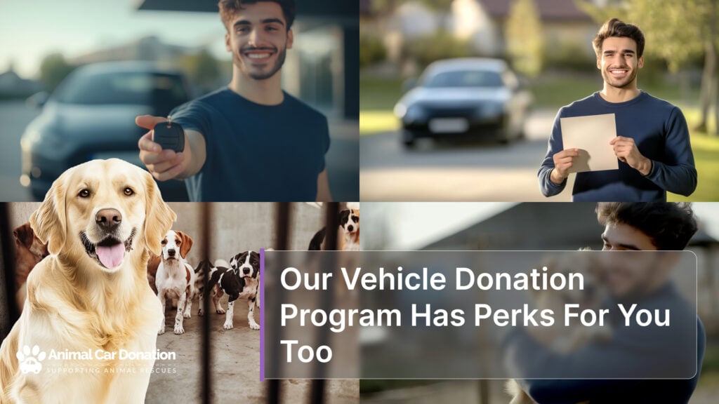 Our Vehicle Donation Program Has Perks For You Too