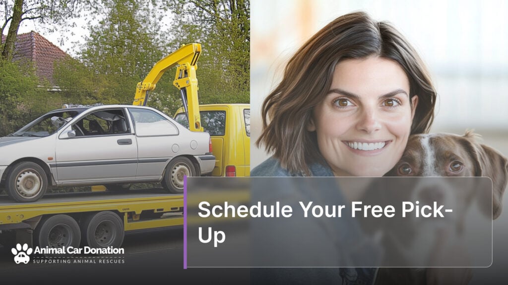 Schedule Your Free Pick-Up