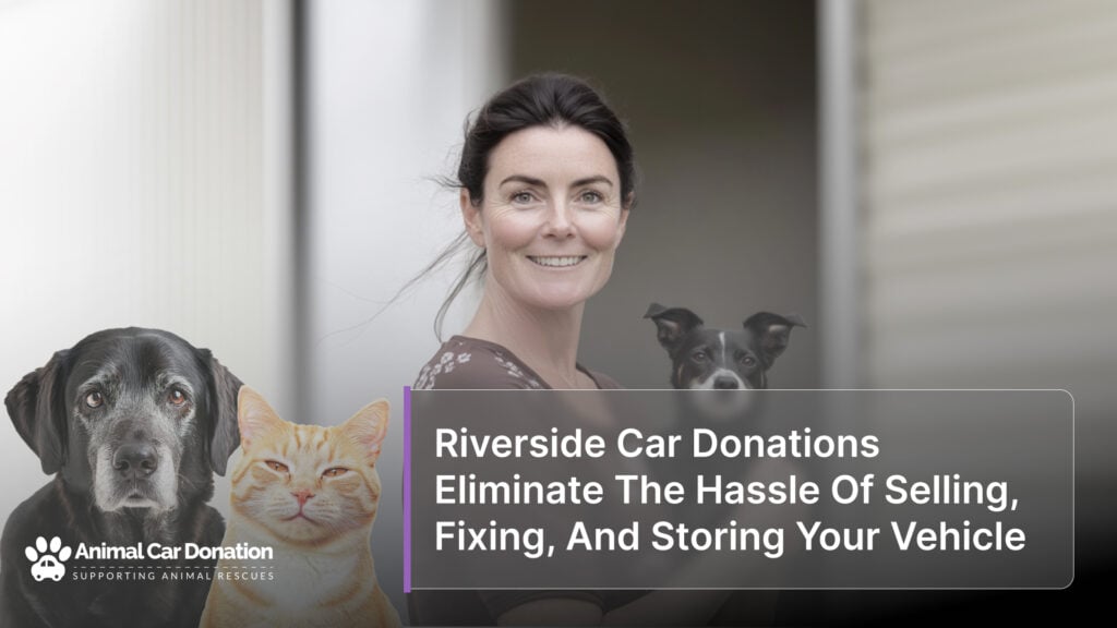 Riverside Car Donations Eliminate The Hassle Of Selling, Fixing, And Storing Your Vehicle