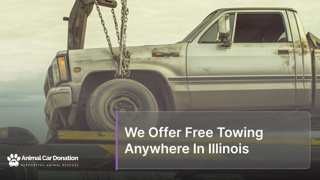 We Offer Free Towing Anywhere In Illinois