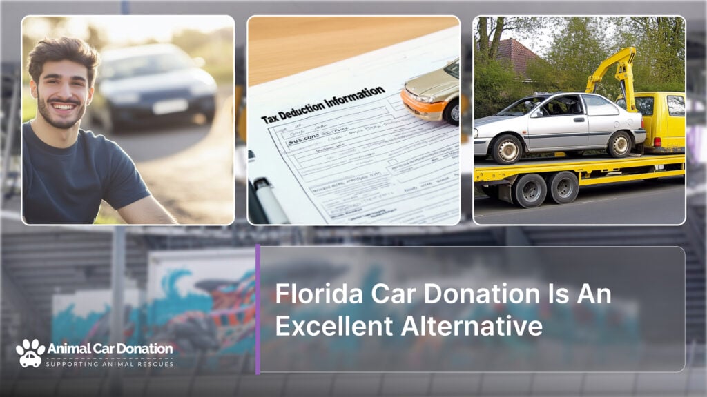 Florida Car Donation Is An Excellent Alternative