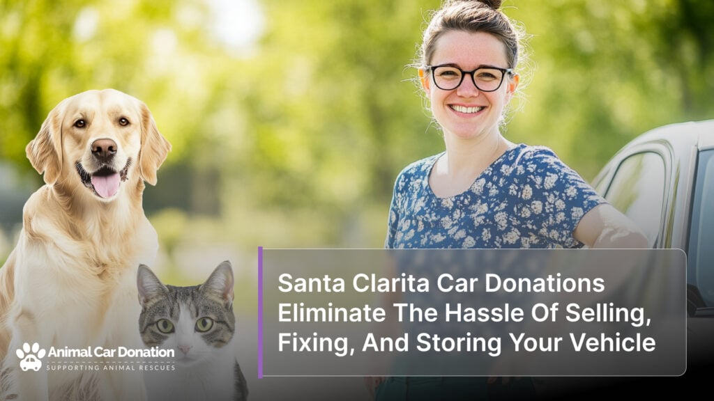 Santa Clarita Car Donations Eliminate The Hassle Of Selling, Fixing, And Storing Your Vehicle