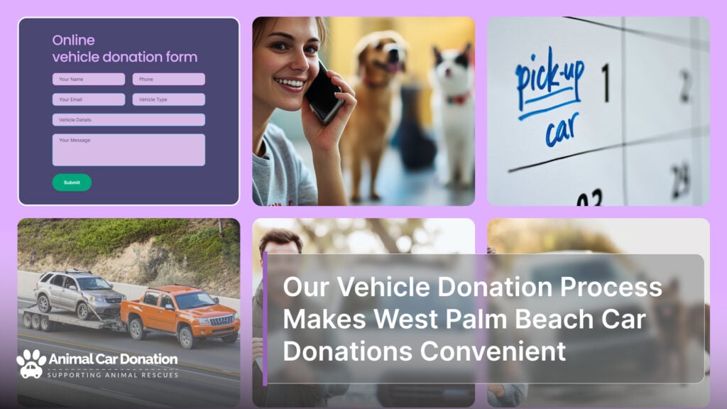 Our Vehicle Donation Process Makes West Palm Beach Car Donations Convenient